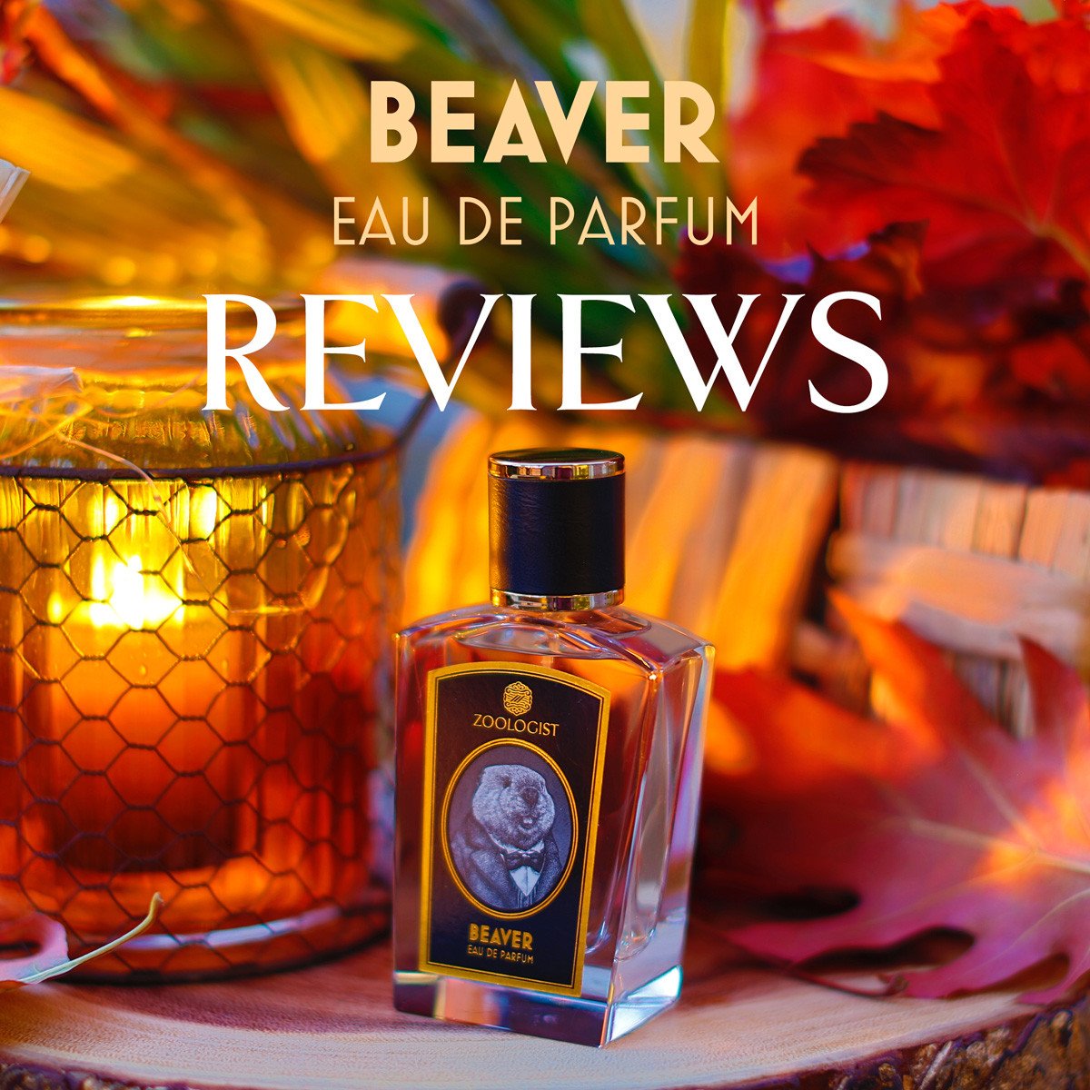 Zoologist Beaver Reviews Roundup