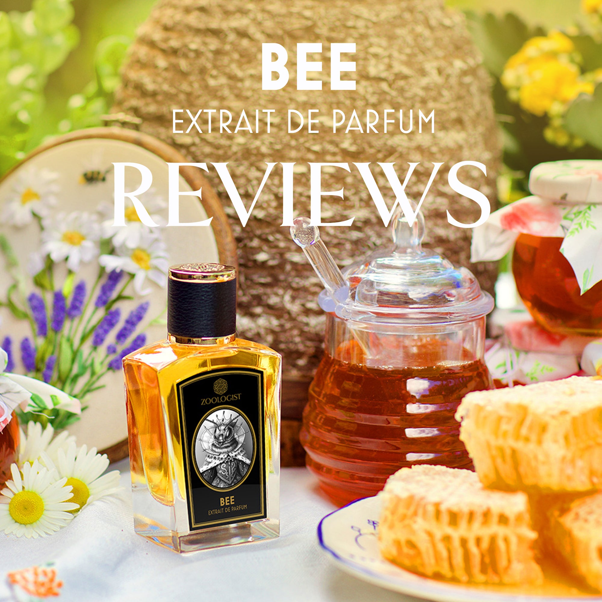 Zoologist Bee Reviews Roundup