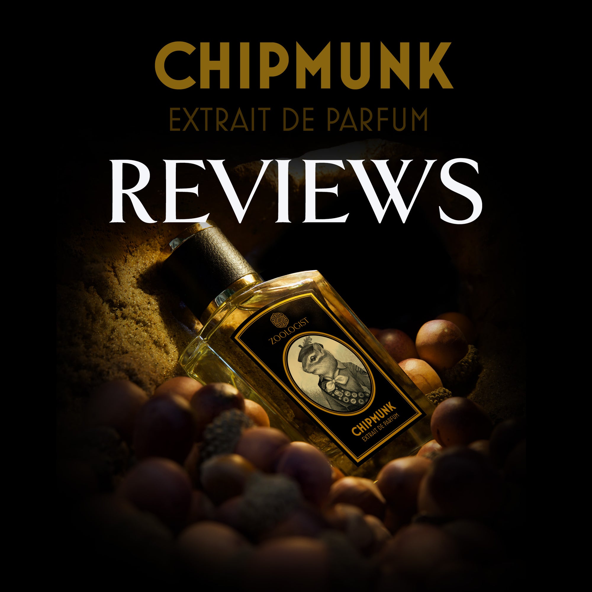 Zoologist Chipmunk Reviews Roundup