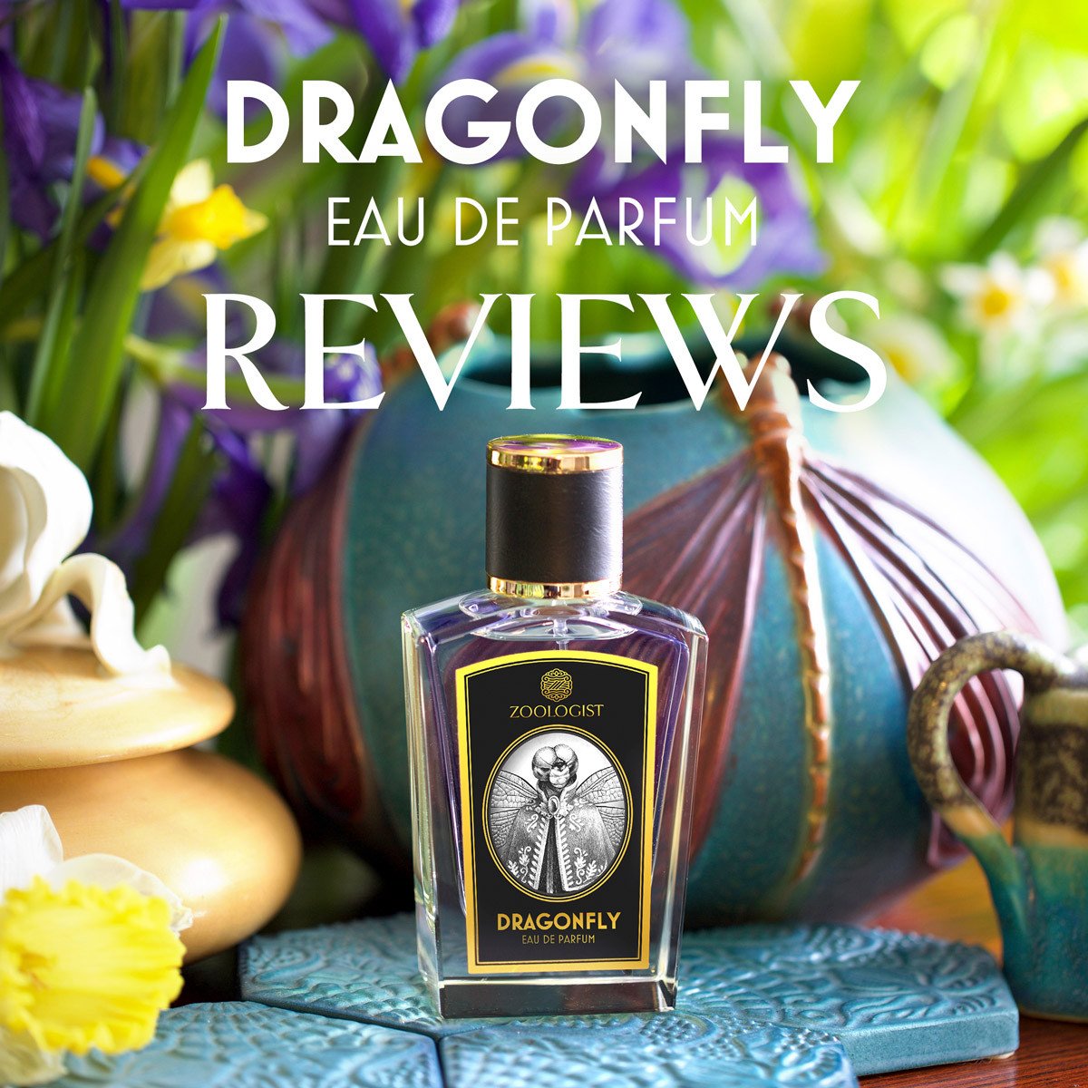 Zoologist Dragonfly Reviews Roundup