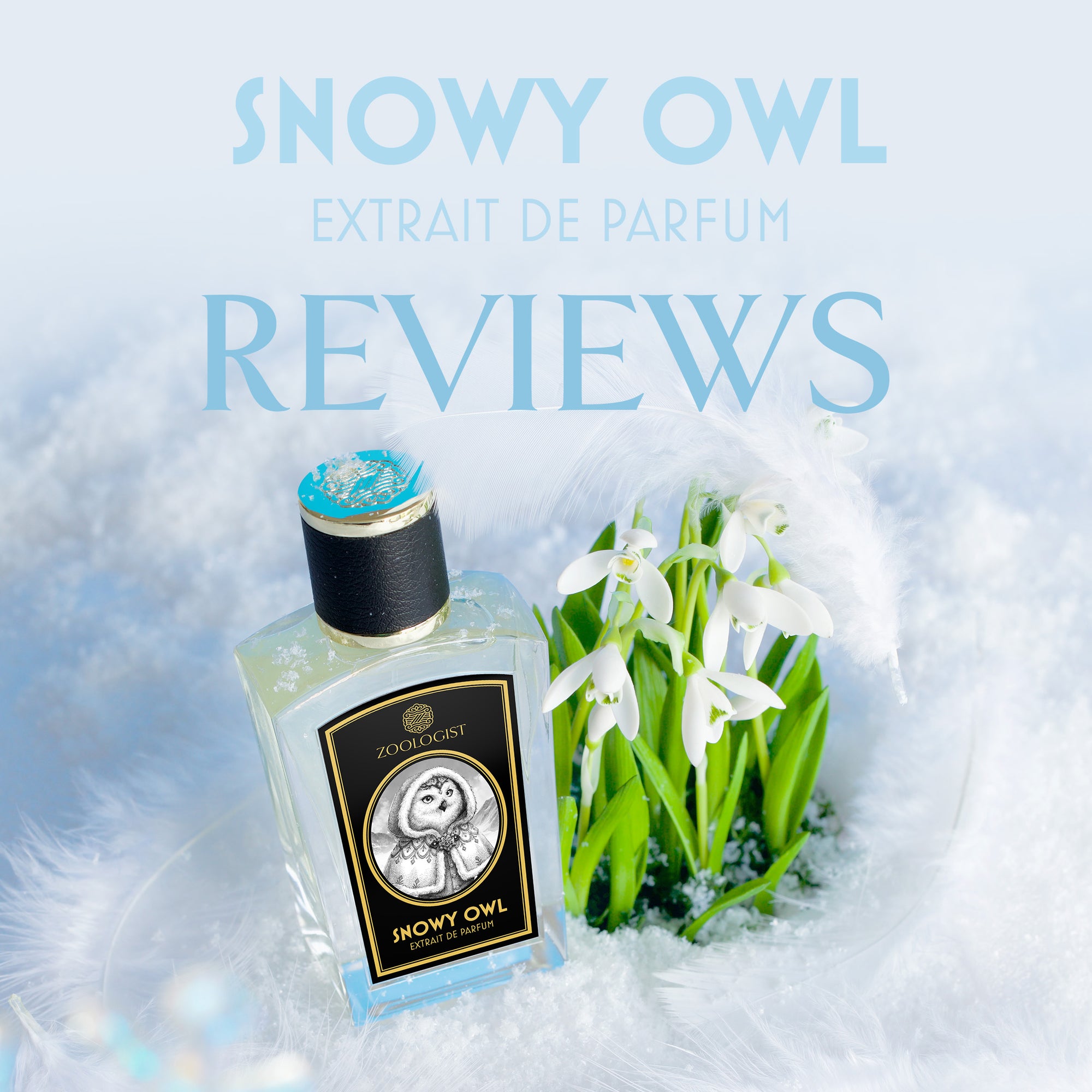 Zoologist Snowy Owl Reviews Roundup