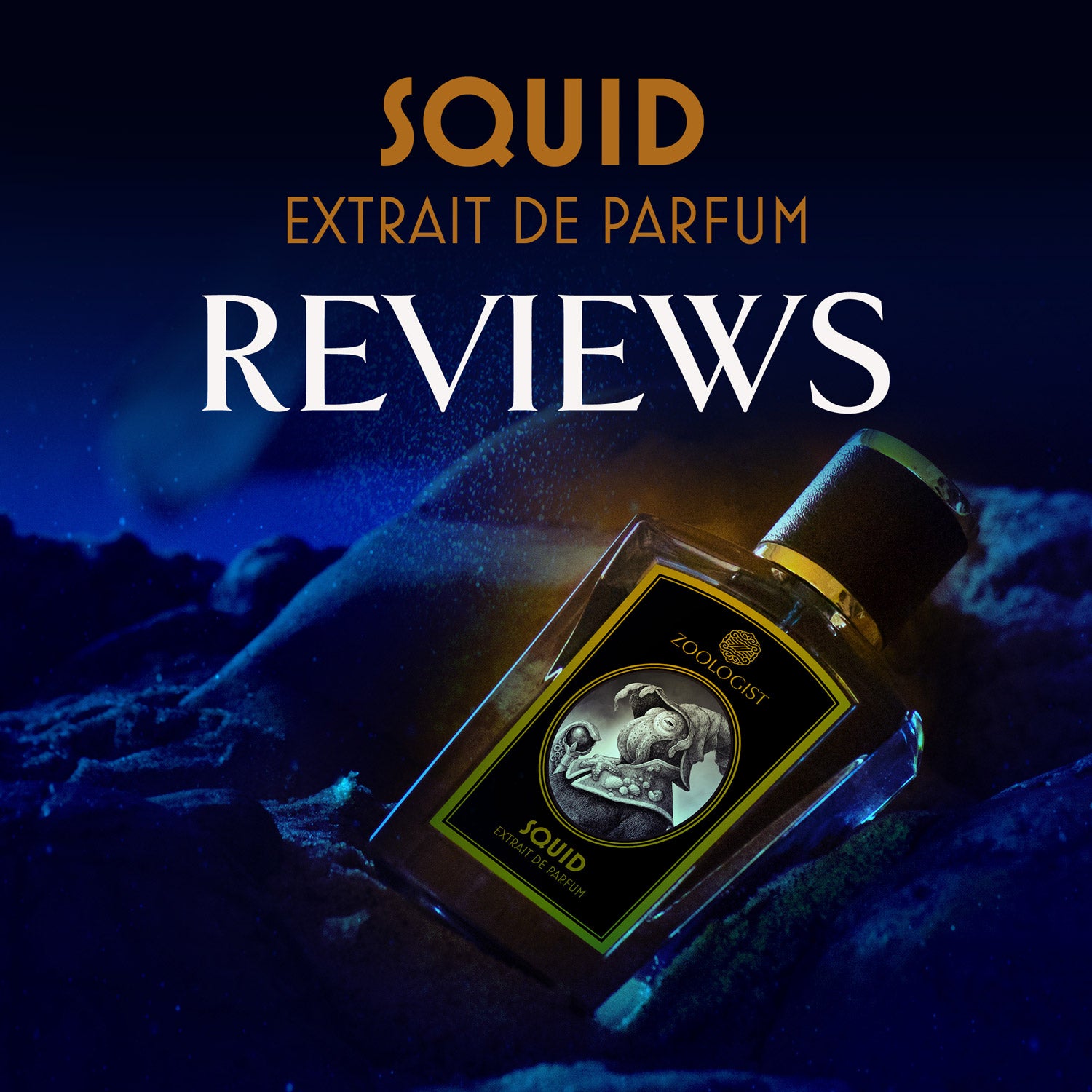 Zoologist Squid Reviews Roundup