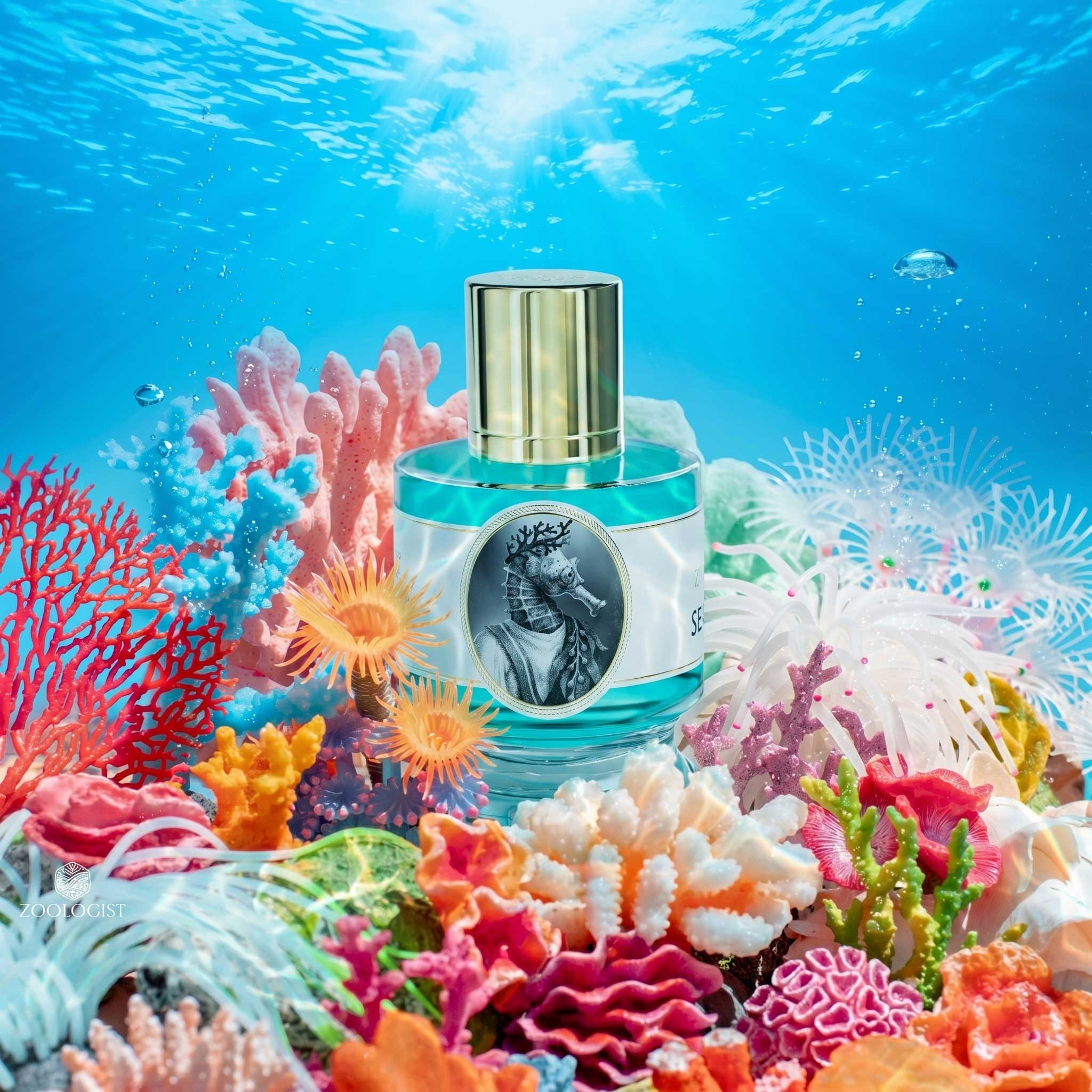 Zoologist Seahorse Deluxe Bottle - Zoologist Canada