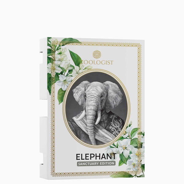 OEPサチュレーションブースター/Elephants found Flowers sample-JD-elephant-sanctuary-