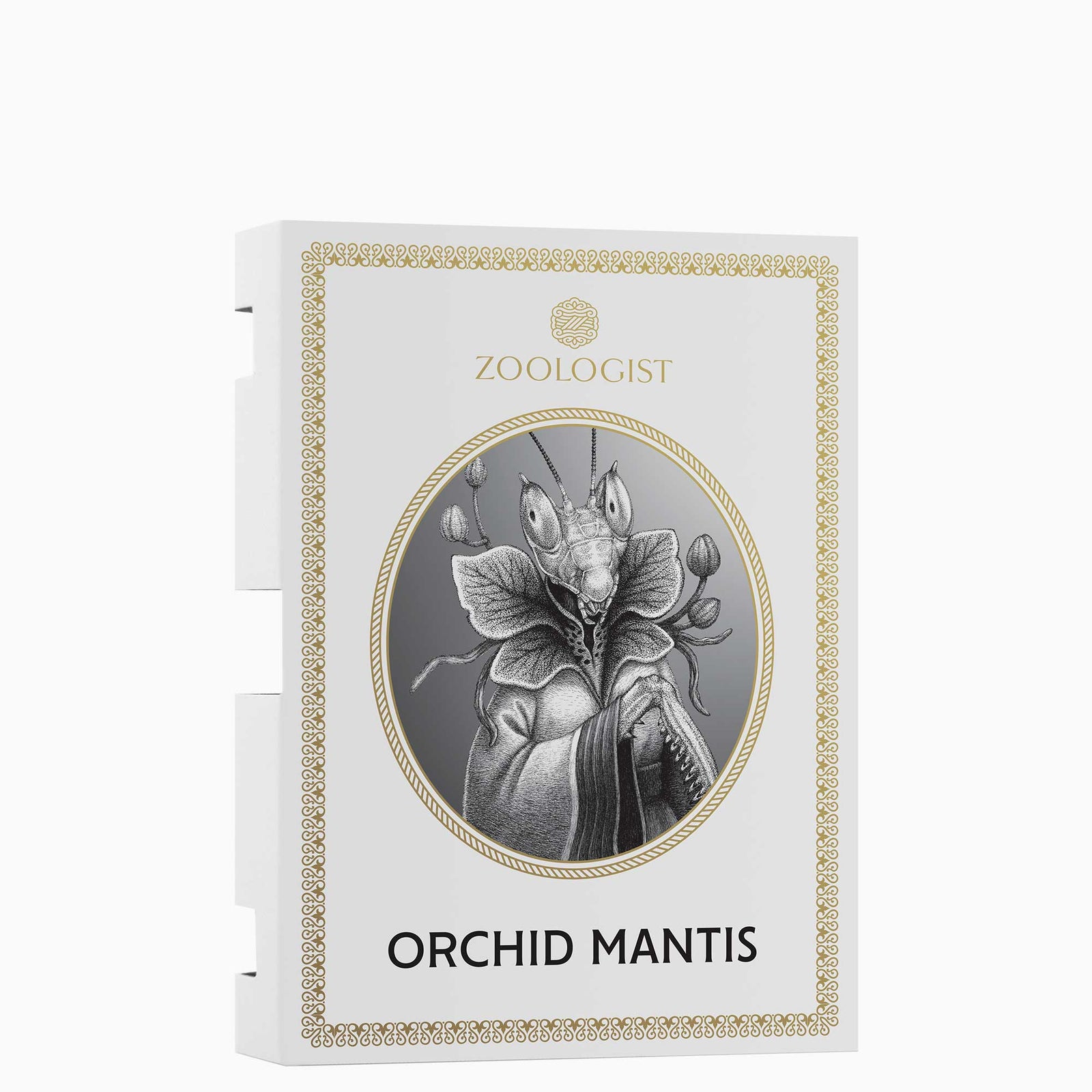 Zoologist Orchid Mantis Sample