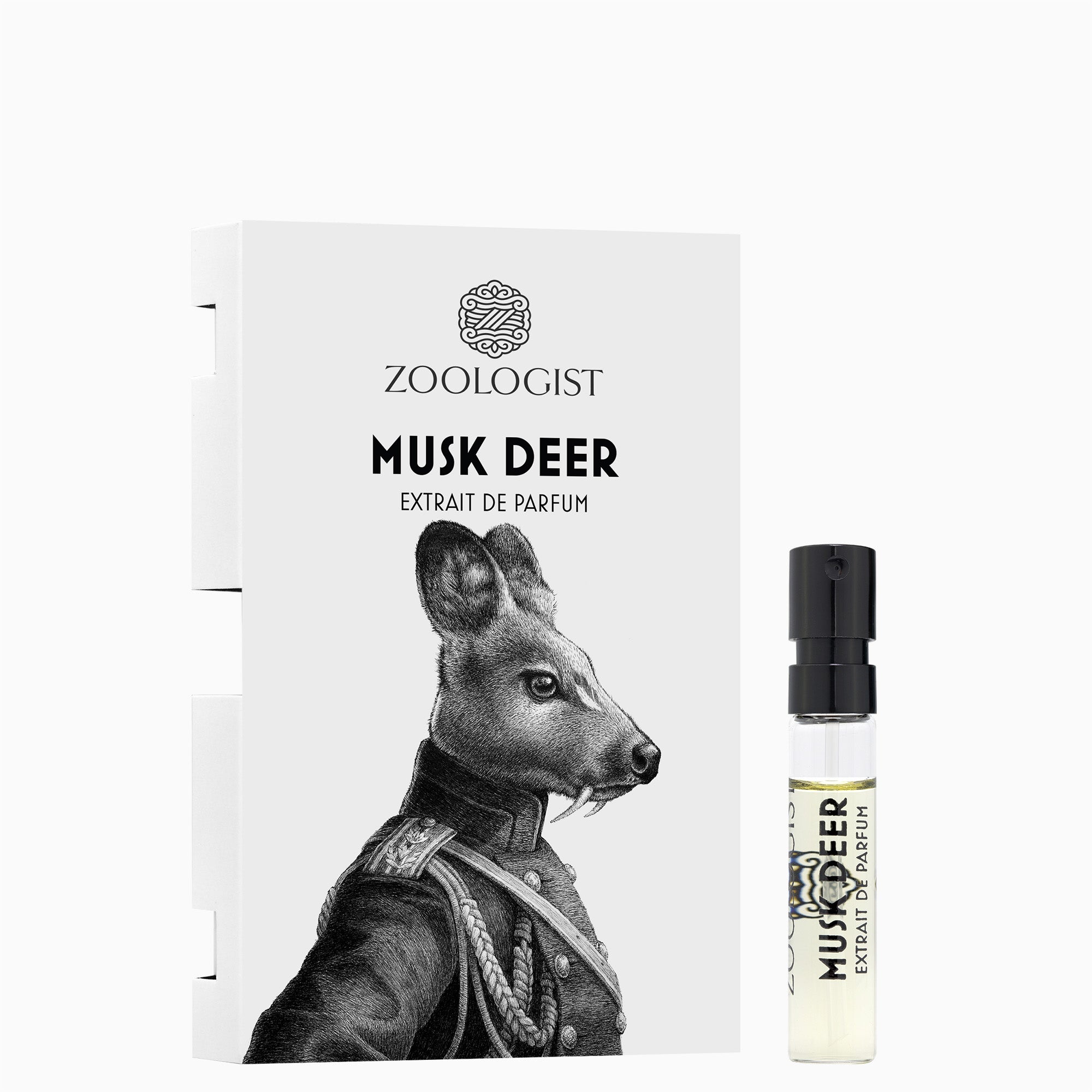 Zoologist Musk Deer Sample